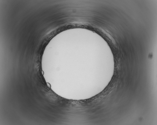 X0000116631015201001081248