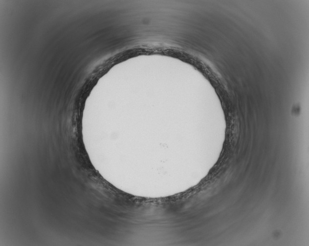 X0000116631016201001081248