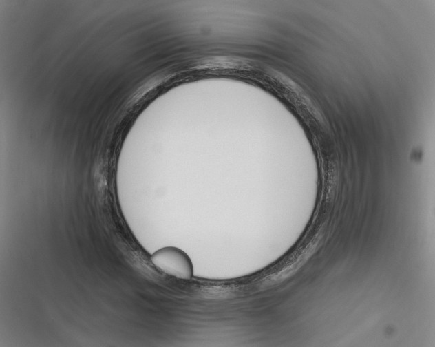 X0000116631017201001081248