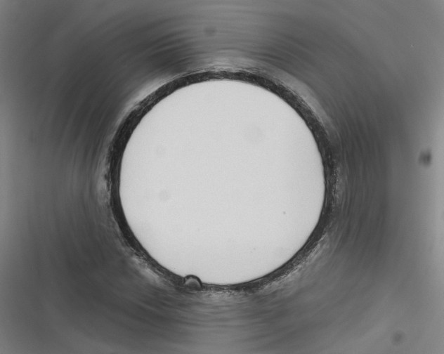 X0000116631018201001081248