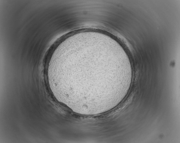 X0000116631019201001081248