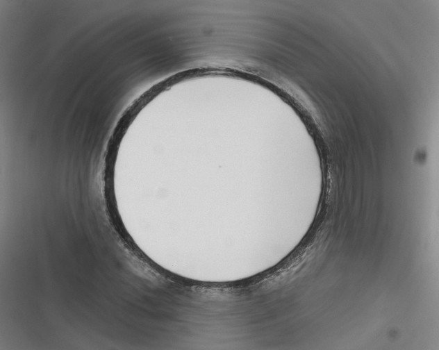 X0000116631020201001081248