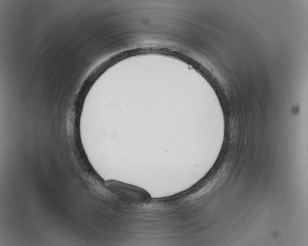 X0000116631021201001081248