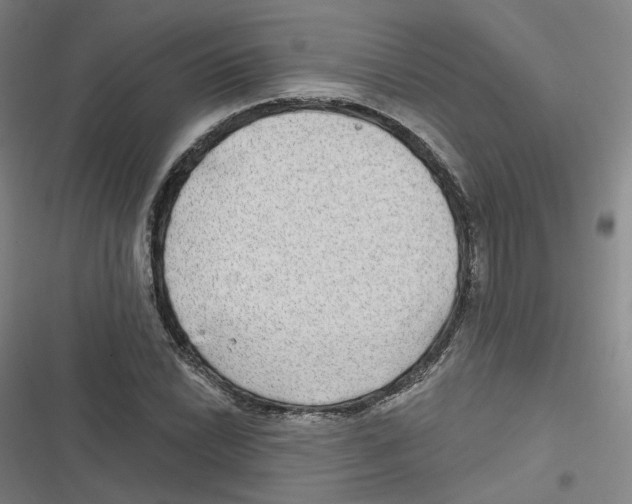 X0000116631022201001081248