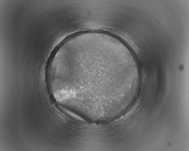 X0000116631023201001081248
