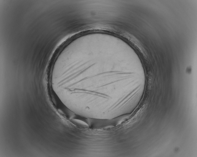 X0000116631024201001081248