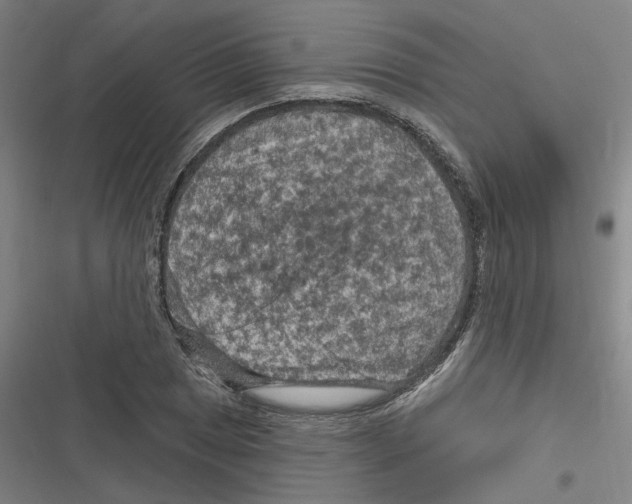X0000116631025201001081248