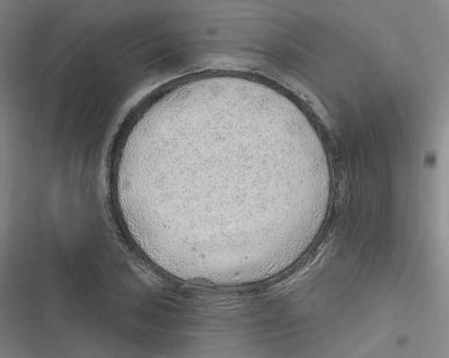 X0000116631027201001081248