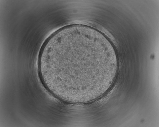 X0000116631028201001081248