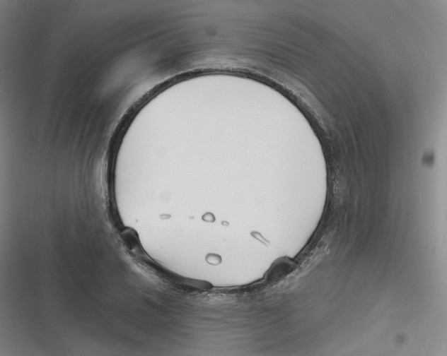 X0000116631030201001081248