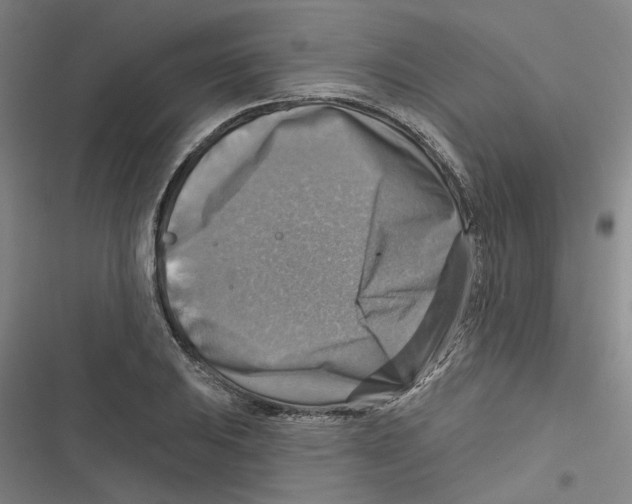 X0000116631031201001081248
