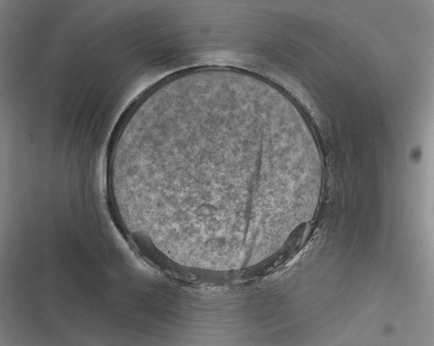 X0000116631032201001081248