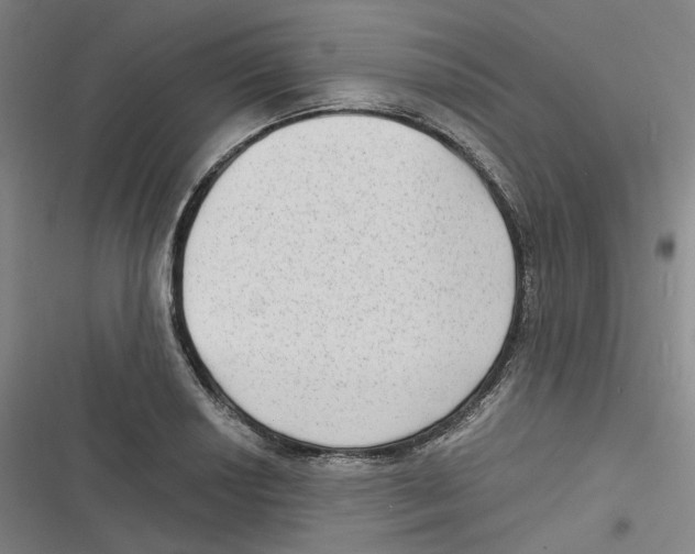 X0000116631034201001081248