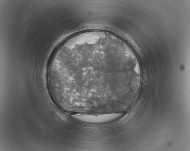 X0000116631035201001081248