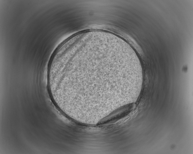 X0000116631036201001081248