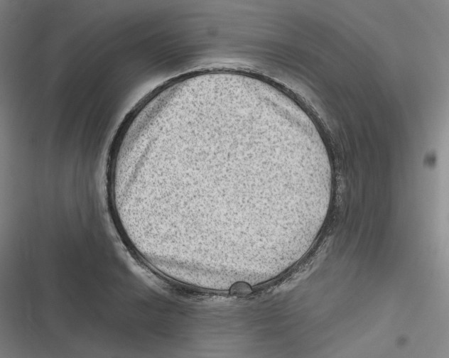 X0000116631038201001081248