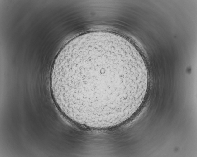 X0000116631041201001081248