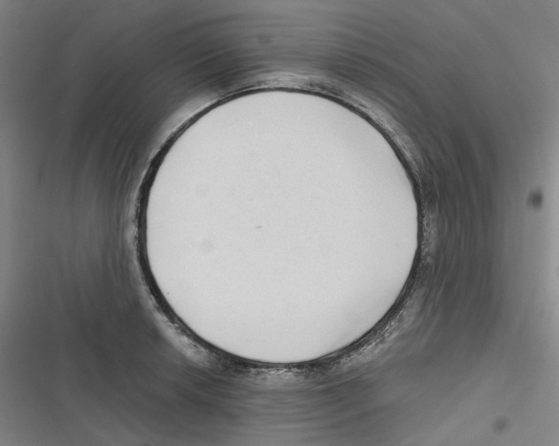 X0000116631042201001081248