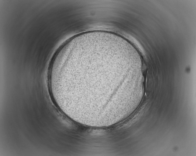 X0000116631043201001081248