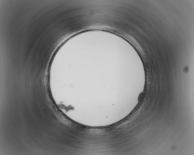 X0000116631044201001081248