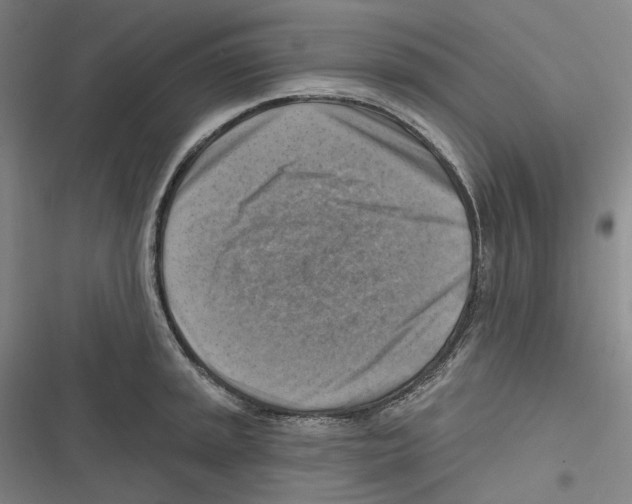 X0000116631045201001081248