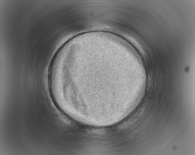 X0000116631047201001081248