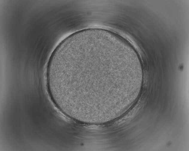 X0000116631048201001081248