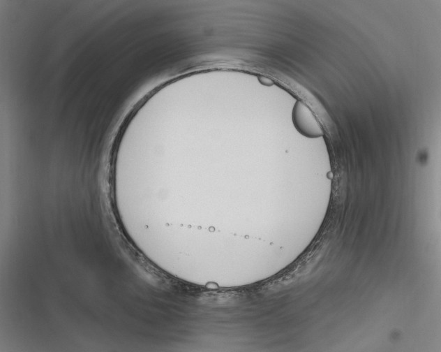 X0000116631051201001081248