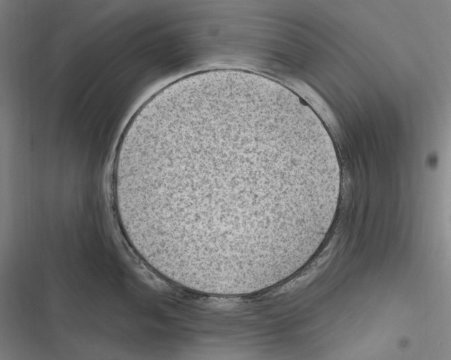 X0000116631052201001081248