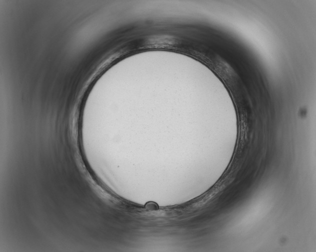 X0000116631054201001081248