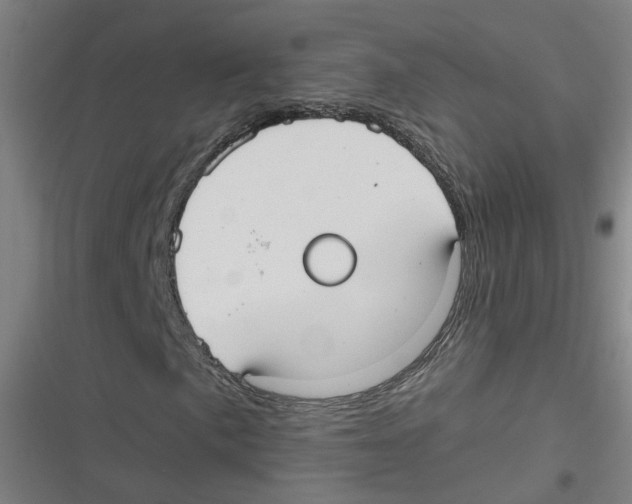 X0000116631057201001081248