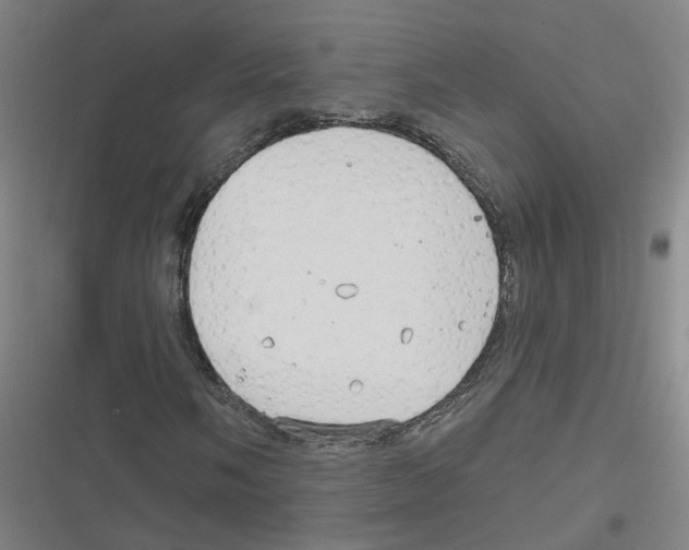 X0000116631058201001081248