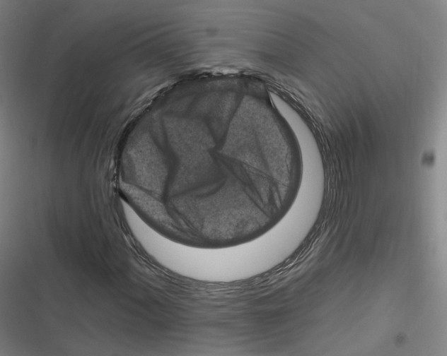 X0000116631060201001081248