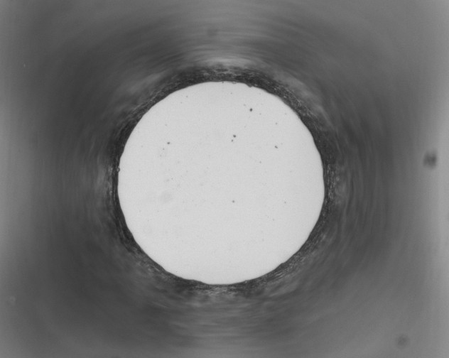 X0000116631061201001081248