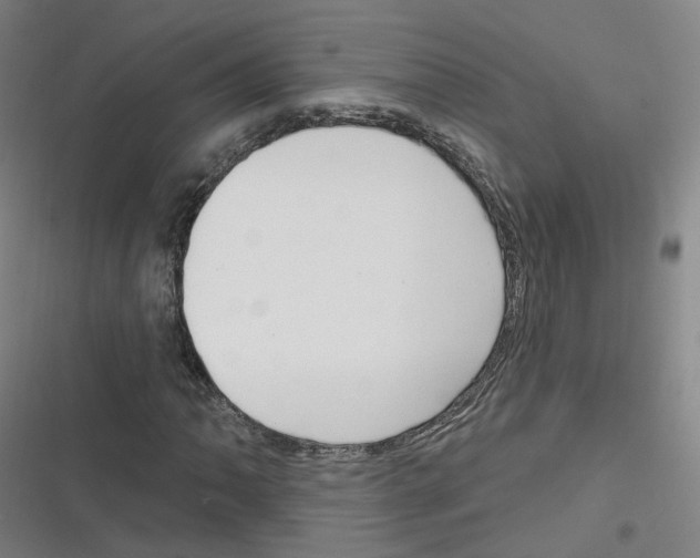 X0000116631062201001081248
