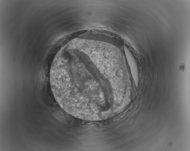 X0000116631063201001081248