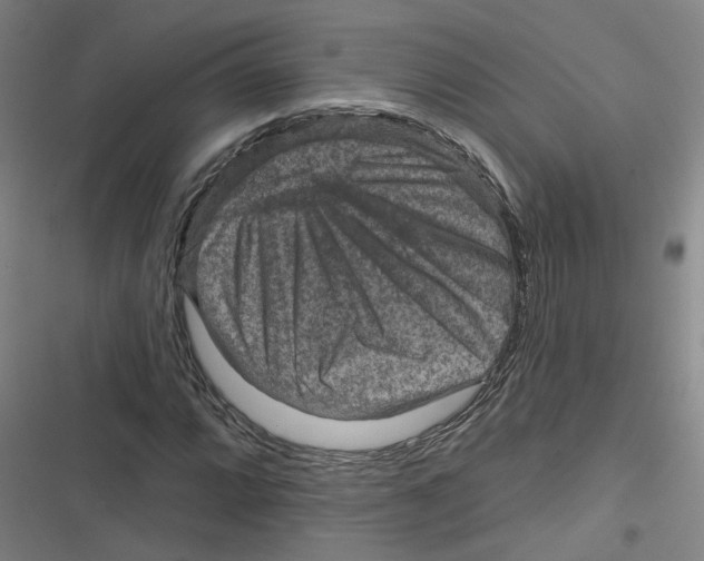 X0000116631064201001081248