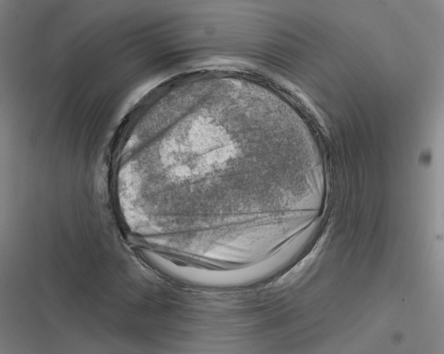 X0000116631066201001081248