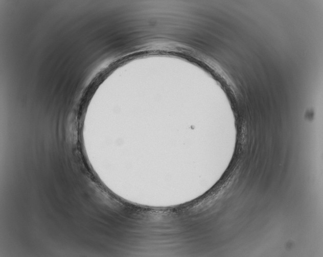 X0000116631067201001081248