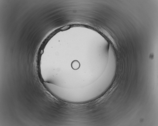 X0000116631068201001081248