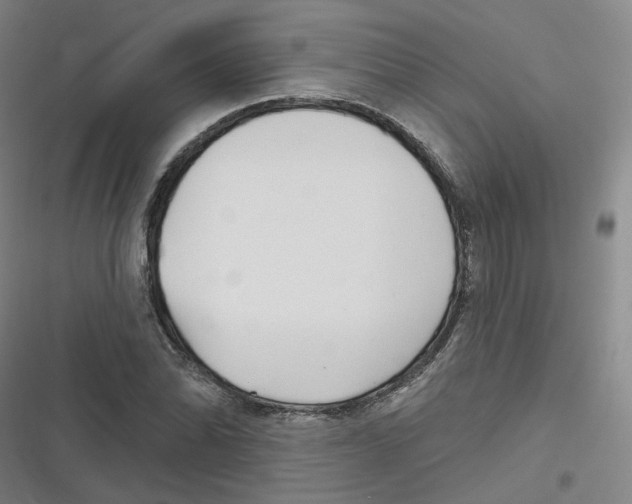 X0000116631070201001081248