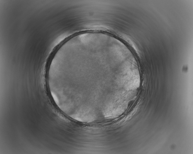 X0000116631071201001081248