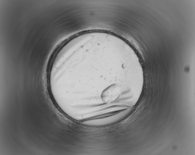 X0000116631072201001081248