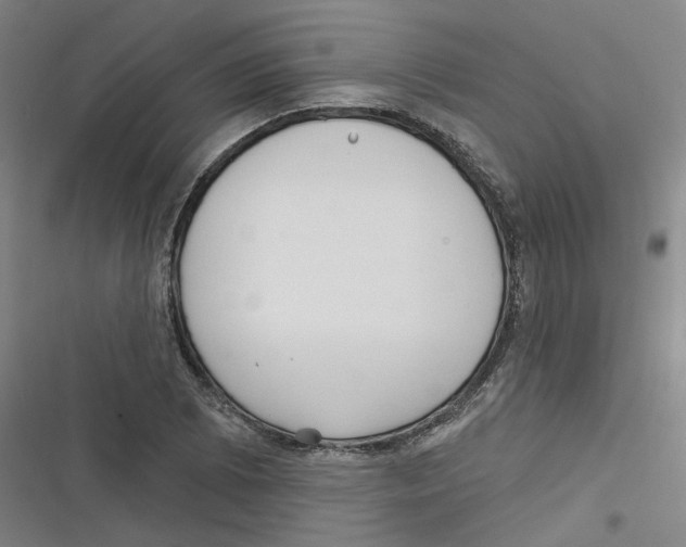 X0000116631073201001081248