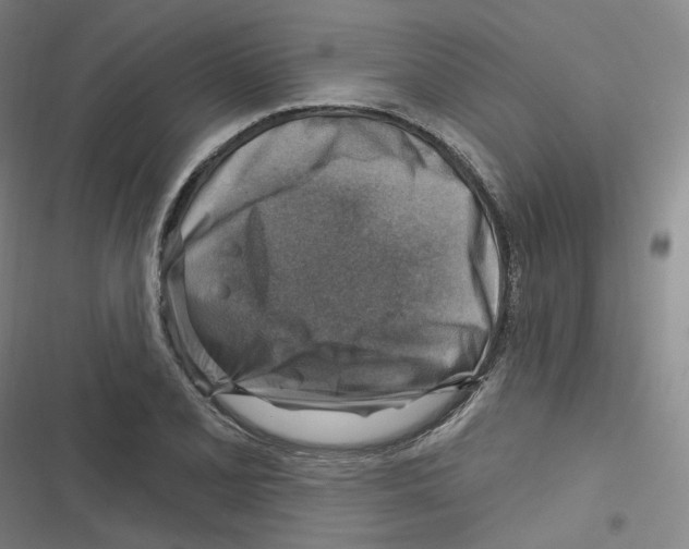 X0000116631077201001081248