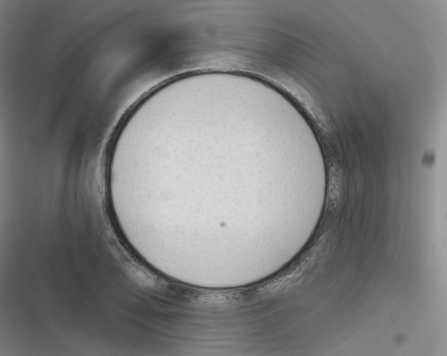 X0000116631078201001081248