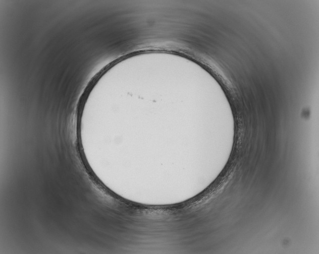 X0000116631079201001081247