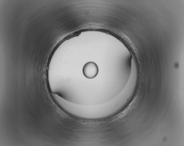 X0000116631081201001081247