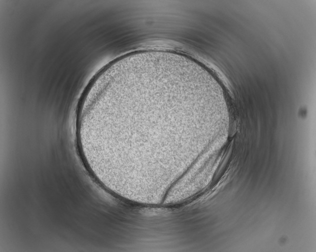 X0000116631083201001081247