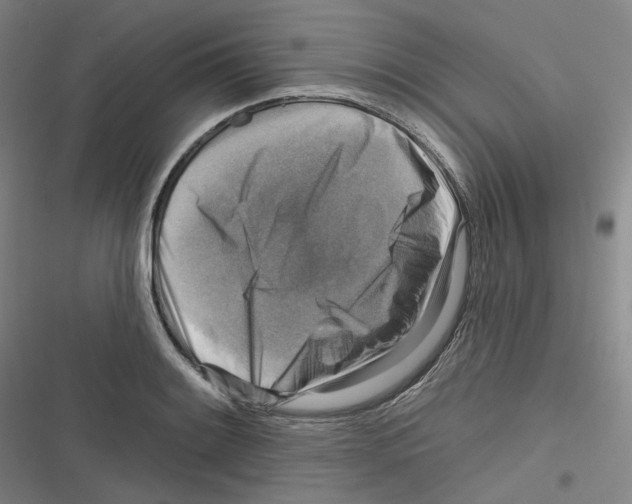 X0000116631084201001081247